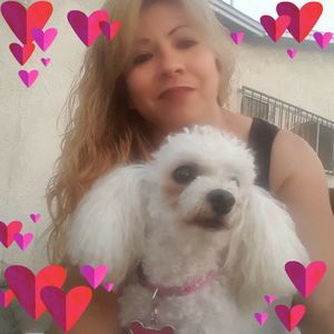 Meet your Posher, Roxelda ramirez